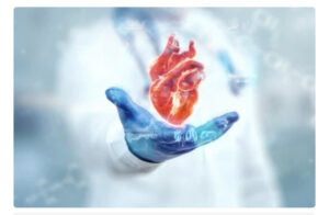 heart held by doctor